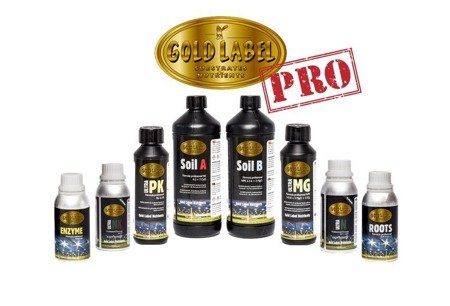 Gold Label large Pro ravinnepaketti - multa