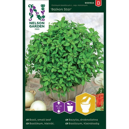 Small leaf basil Balkon Star