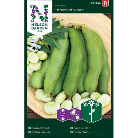 Broad bean Threefold White