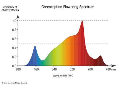 Greenception GC Bar Single 70W